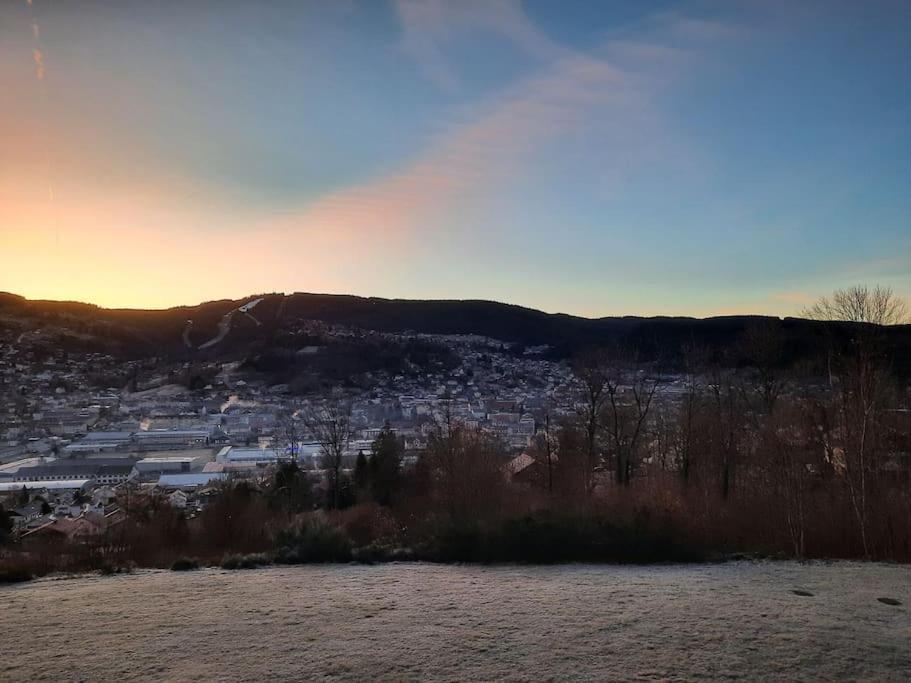 Appartement Residence Les Dryades Avec Vue Montagne Gérardmer Exteriör bild