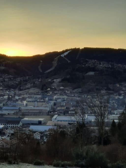 Appartement Residence Les Dryades Avec Vue Montagne Gérardmer Exteriör bild